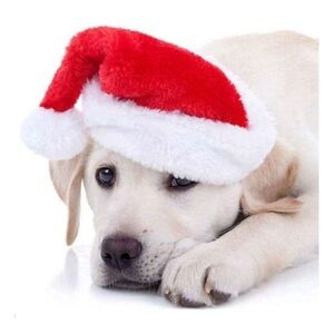 Dog Santa Hat